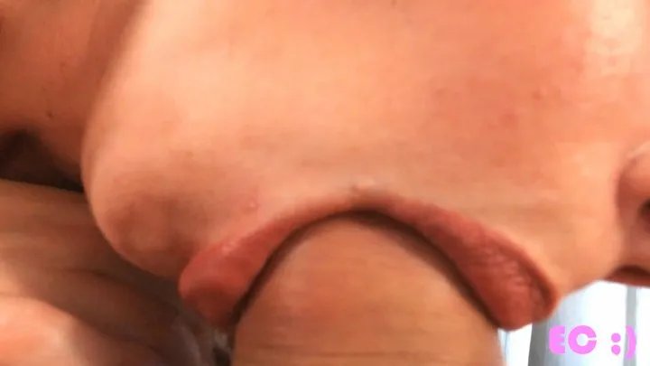 Extreme Close Up Blowjob