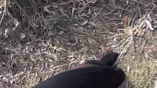 Boot licking at the park