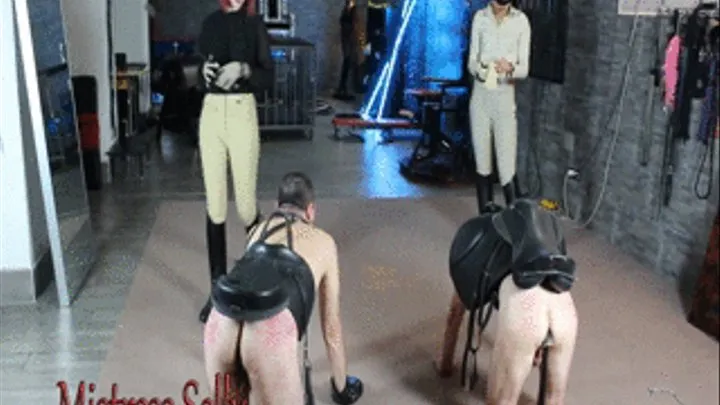 Mistress Selly Pony Play