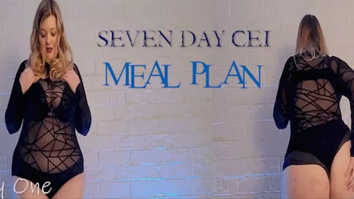 Seven Day CEI Meal Plan: Day One