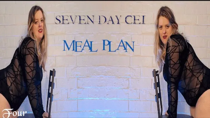 Seven Day CEI Meal Plan: Day Four