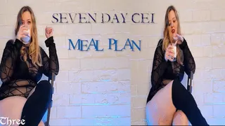 Seven Day CEI Meal Plan: Day Three