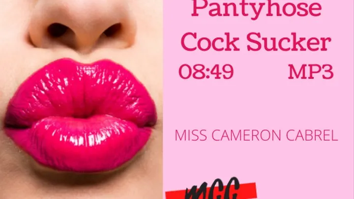 Pantyhose Cock Sucker (Audio)