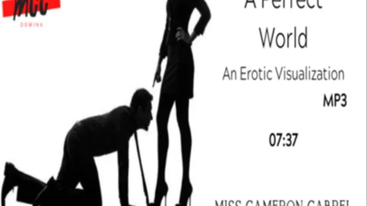 A Perfect World: Erotic Visualization || MP3 || CHASTITY