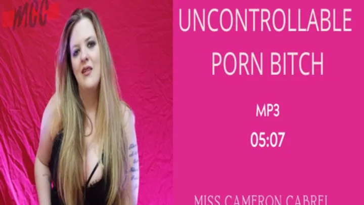 Uncontrollable Porn Bitch || MP3 || VERBAL HUMILIATION