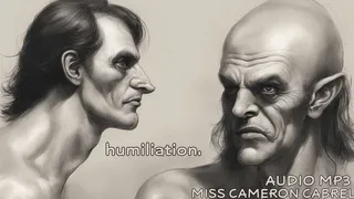 humiliation || MP3 || VERBAL HUMILIATION