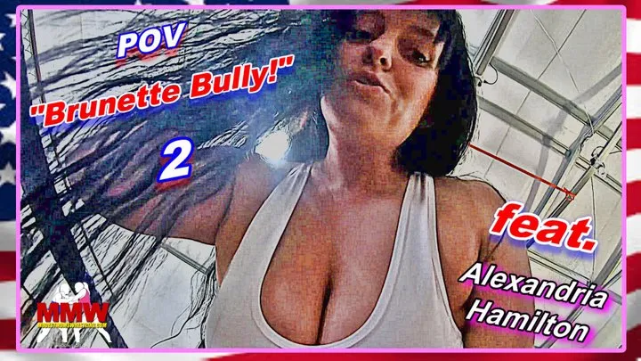 POV: "Brunette Bully!" 2