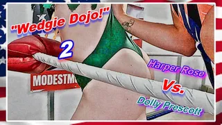 Wedgie Dojo! 2