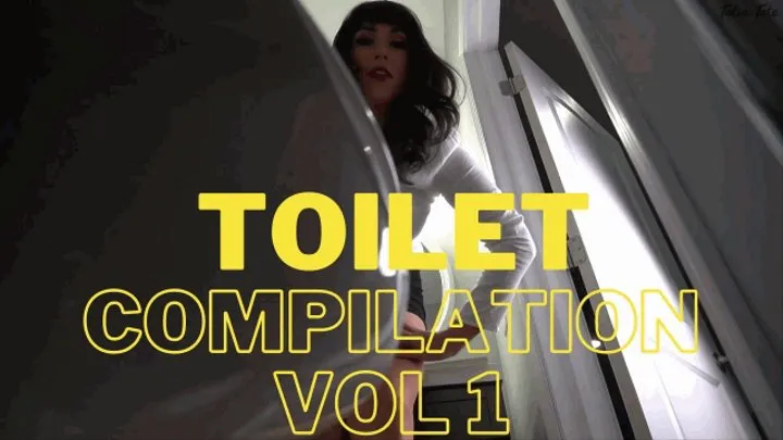 Toilet Compilation Vol I