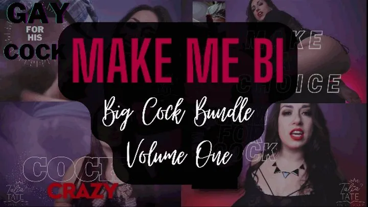 Make Me Bi: Big Cock Bundle Volume One