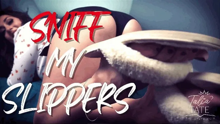 Sniff My Slippers