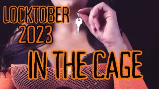 Locktober 2023: In the Cage