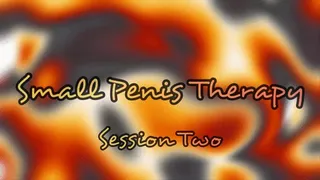 Small Penis Therapy Session 2