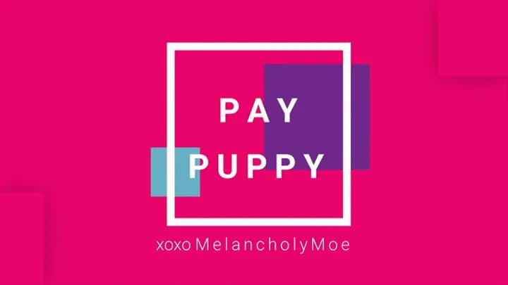 Pay Puppy