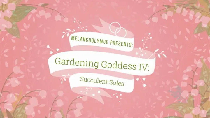 Gardening Goddess IV : Succulent Soles