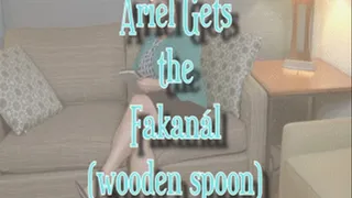Ariel Gets the Fakanál (wooden spoon)