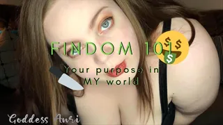 Findom 101 : Your Purpose in My World