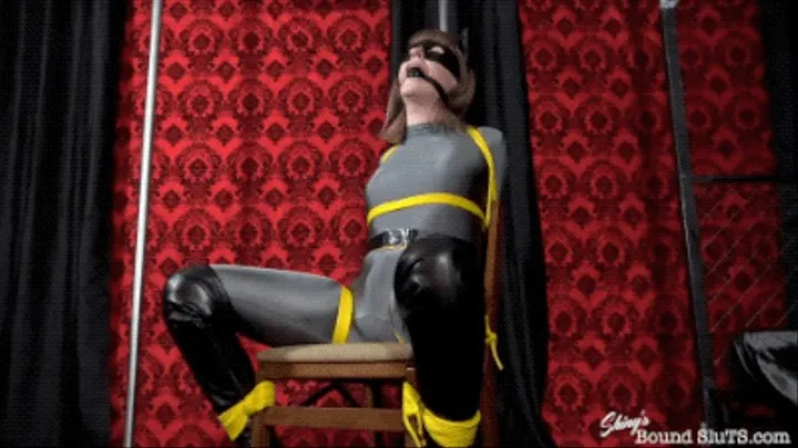 Lianna Lawson- Catwoman Chairtied and Vibed