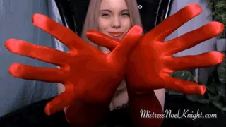 Red Satin Glove Smother