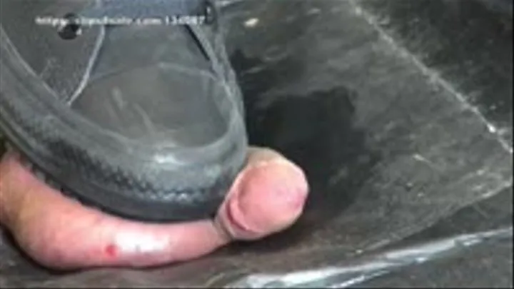 Extreme Ball Stomping and Trampling with CONVESE CHUCKS rubber sneakers on cock board