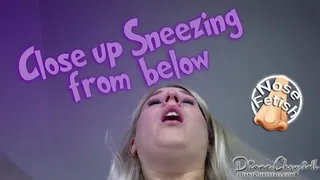 Closeup Sneezing from below