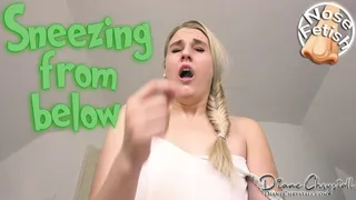 Sneezing from below 2