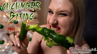 Close-up Biting Cucumber destruction