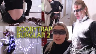 Cat burglar boobytrap cakesitting 2