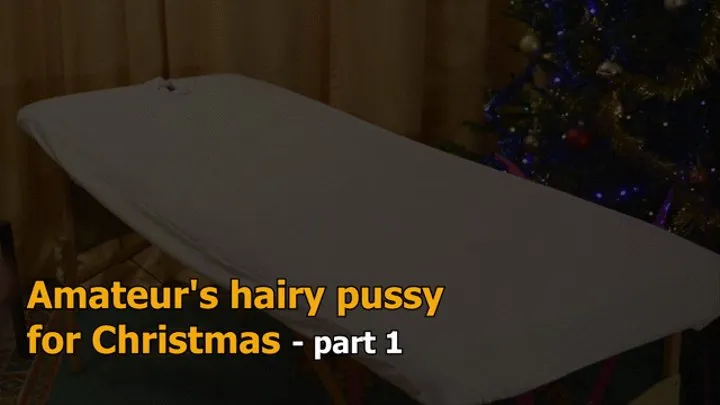 Amateur hairy pussy for Christmas 1