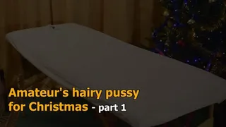 Amateur hairy pussy for Christmas 1