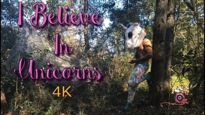 I Believe In Unicorns