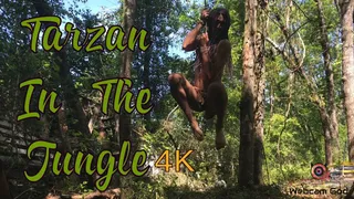 Tarzan In The Jungle