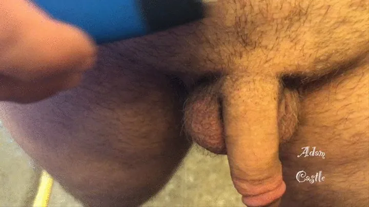 August Hairy Cock and Balls Electric Shaver