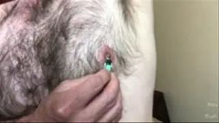 Bear Turns Tiny Into A Hairy Body Licking Slave