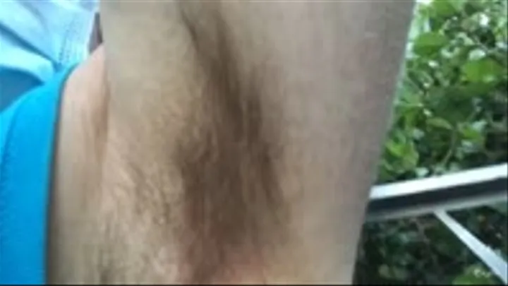 Giant Doms Shrunken Homo With His Hairy Pits POV