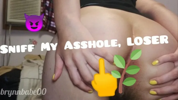 Sniff My Asshole, Loser