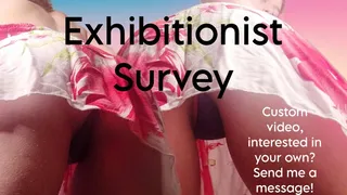 Exhibitionist Survey Upkirt Tease