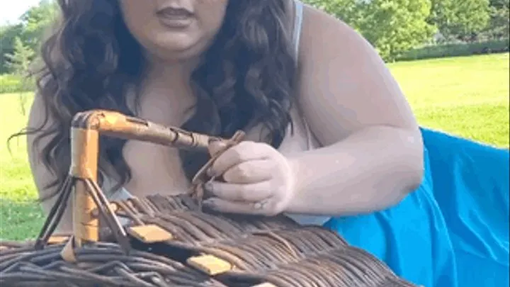 BBW Picknick Tease