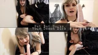 Pet Bat Sucks Your Monster Dick