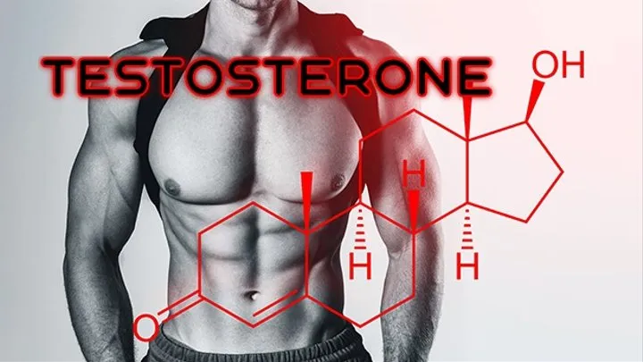 Testosterone