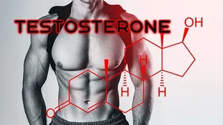 Testosterone