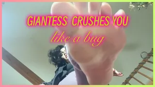 Giantess crushes you like a bug