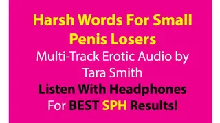 Harsh Reality For Small Penis Men SPH Multi-Track Erotic Audio