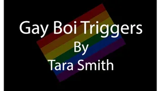 Gay Boi Triggers Erotic Audio By Tara Smith