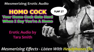 Your Homo Cock Get Hard When I Call You A Homo Sexy Mesmerizing Beats Erotic Audio by Tara Smith
