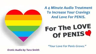 For The Love Of Penis An Audio Treatment To Increase your Gay Desire For Penis by Tara Smith