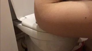 Morning toilet trip 2