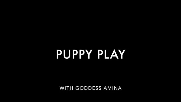Interactive Puppy Play