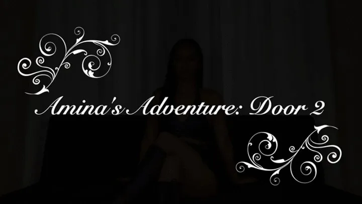 Amina's Adventure - Door 2