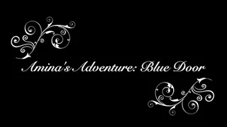 Amina's Adventure - Blue Door